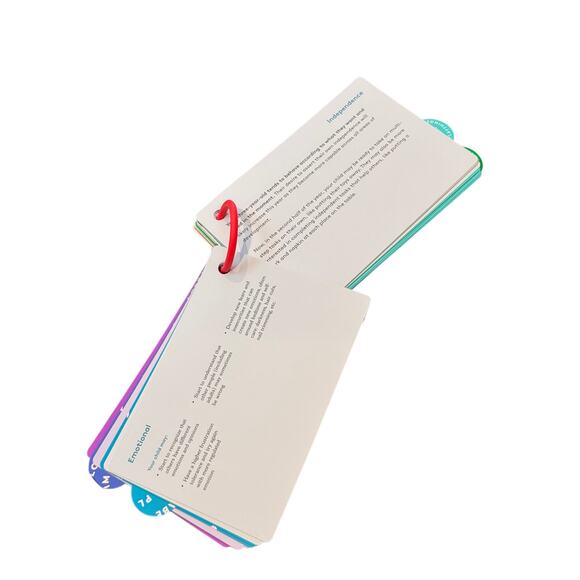 Lovevery The Analyst Play Guide Book 46,47,48 Months Ways to Play Montessori - Picture 3 of 3